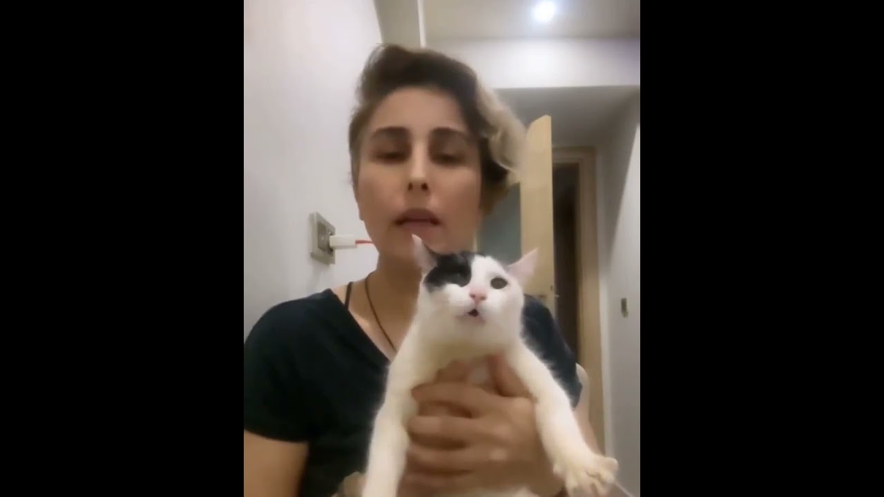 Türkü isteyen kedi