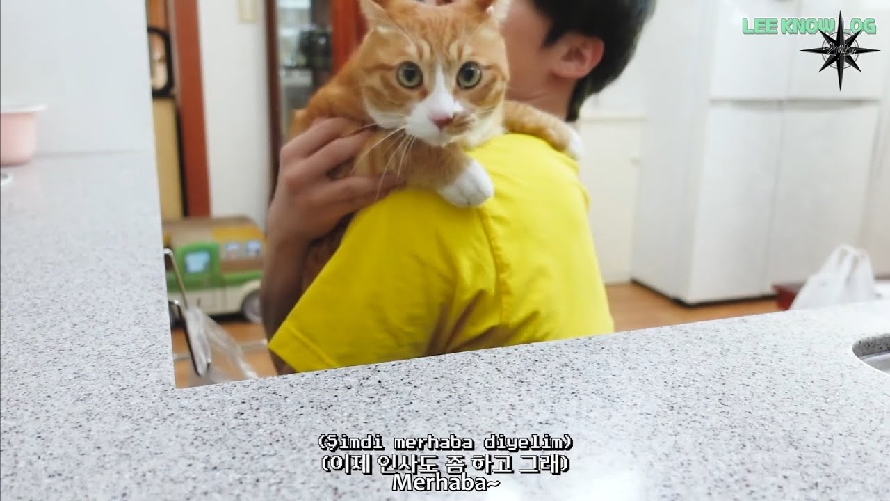 Türkçe Altyazılı | [SKZ VLOG] Lee Know : LEE KNOW LOG 4