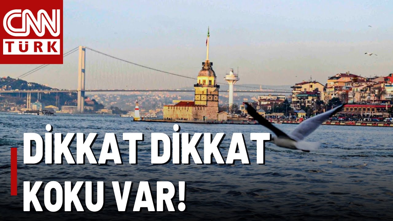 Türkiye Bugün Kokacak! Azot Dioksit Etkili Olacak... Kimlerin Sağlığı Risk Altında?