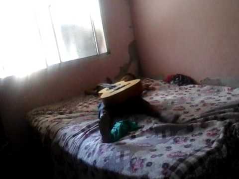 Trollagem(7)
