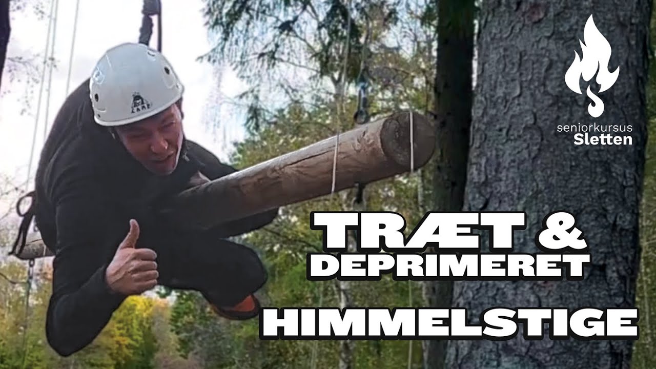 Træt & Deprimeret - Himmelstige | SKS E24