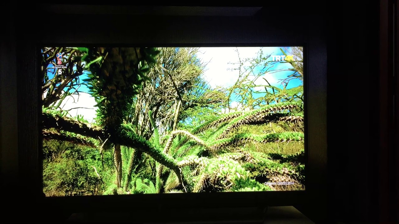 TRT 4k on Philips 49PUS7503