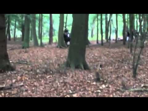 Tsjechow sept 2014 preuts: B cross in Lisse