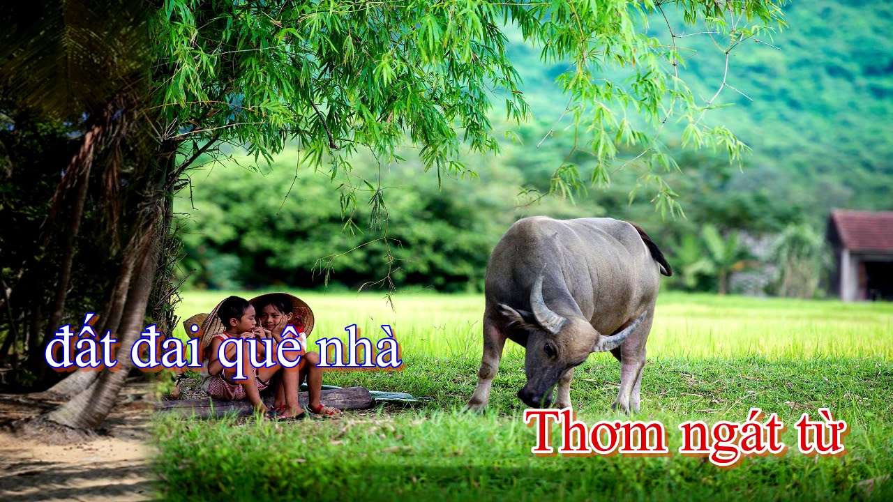 Tuổi Đời Mênh Mông [Âm nhạc lớp 8]