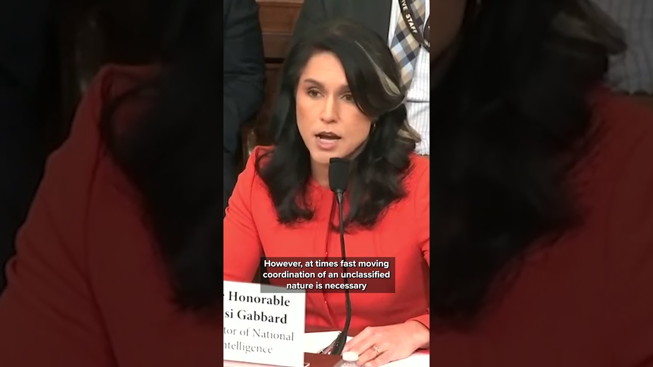Tulsi Gabbard responds to questions about leaked Signal group chat