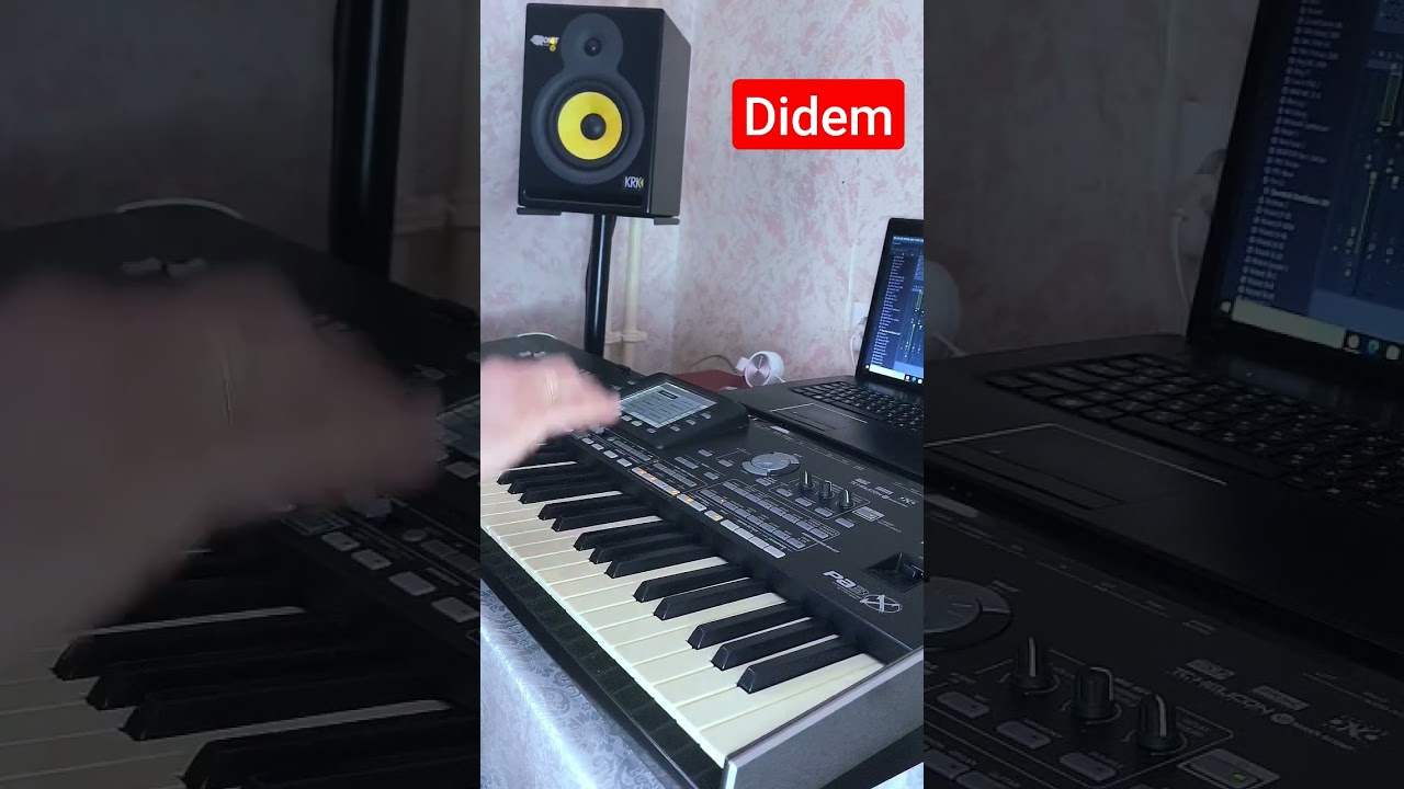 Turk muzik - Didem cover sintezator