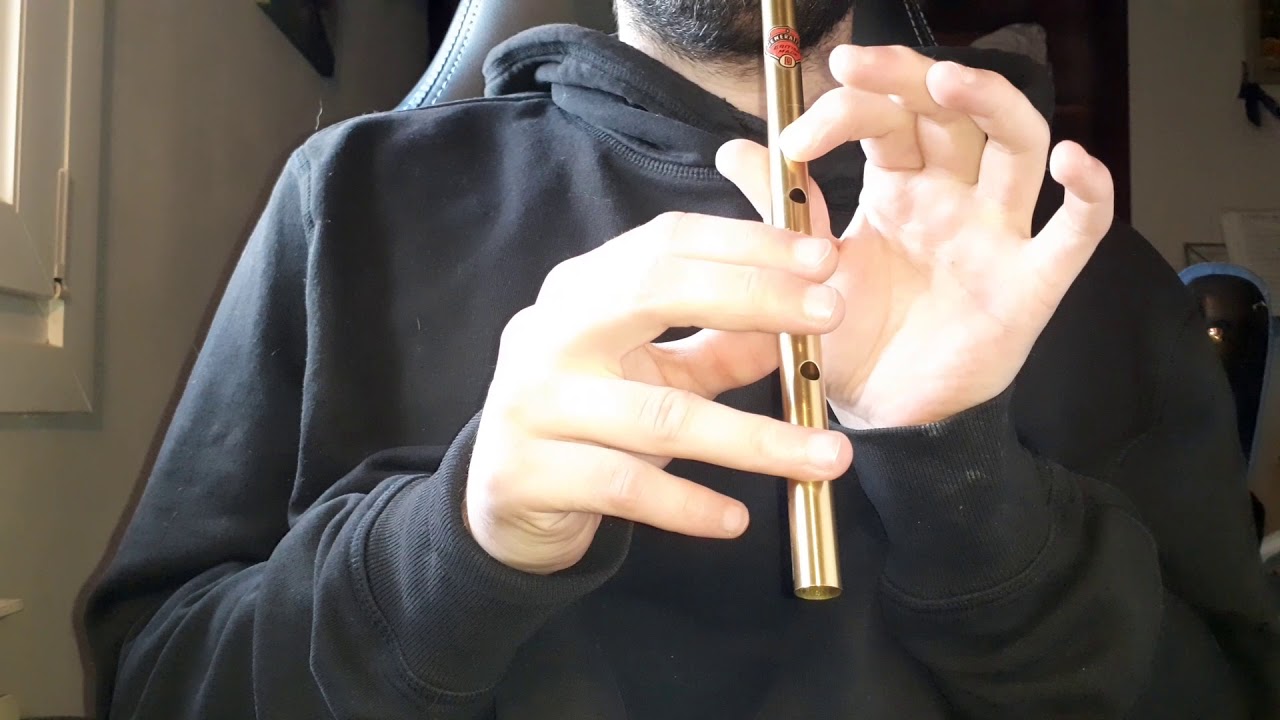 TURKEY IN THE STRAW-TIN WHISTLE