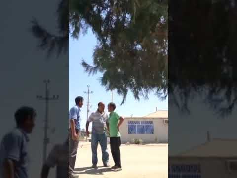 Turkmen prikol nerva degme!