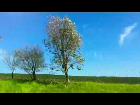 Turkmen sazy toylaryn bezegi bolan giris sazy