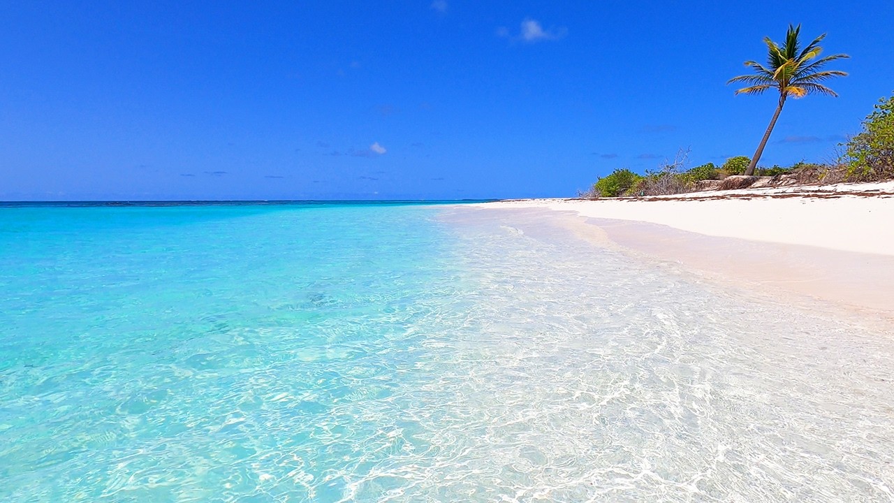 Turquoise Shoals: The Most Relaxing Waves in The World