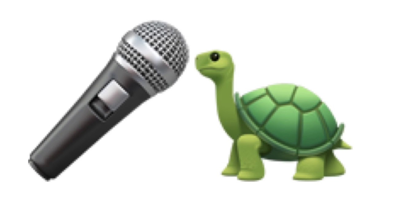 Turtle Song Persian Language 2.0
