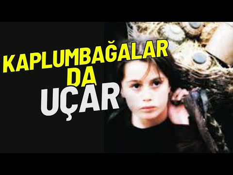 Turtles Can Fly – Kaplumbağalar Da Uçar (2004) Türkçe Altyazılı Full HD