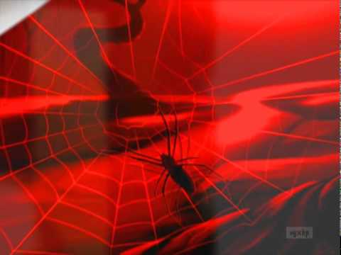 TV2 Hungary - Halloween Idents 2010