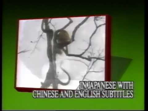 TVB Pearl Promo   The Adventures of Chatran