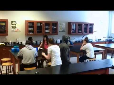 Twerking In A Lab