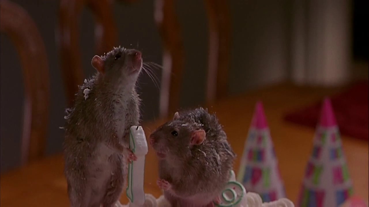 Two mice ran out of the birthday cake ranat girl's birthday