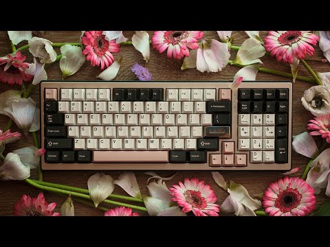 TX-cp + GMK olivia (prod. by wavytrbl)
