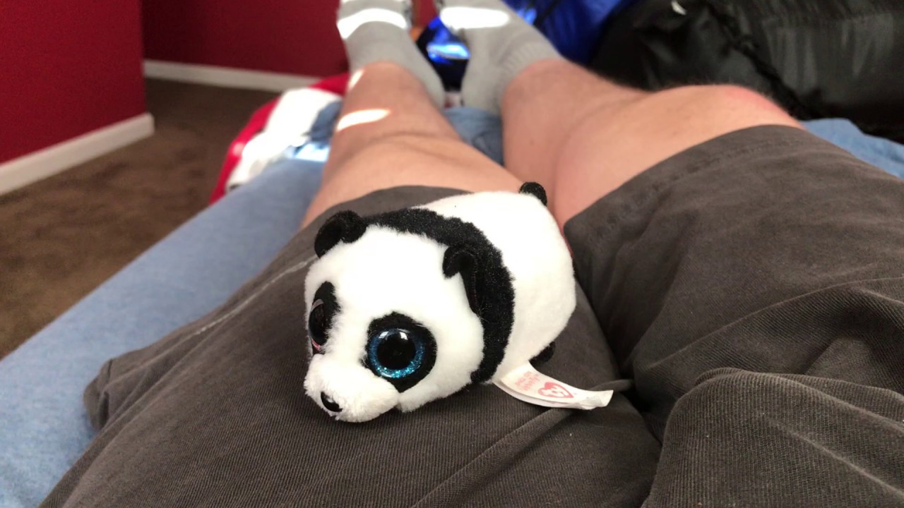 Ty Teeny tys panda 🐼 toy review