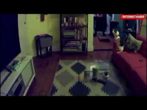 Tüyler ürperten görüntü! (+18)