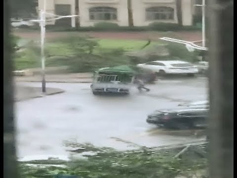 Typhoon Hato Wreaks Havoc in South China's Guangdong Province