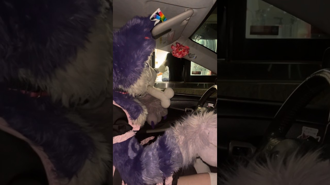 Typical experience hanging out with a furry #fursuit #furry