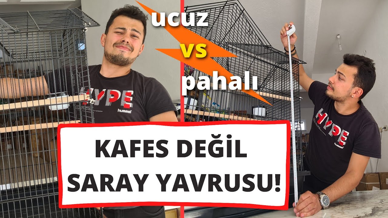 Ucuz Kafes vs Pahalı Kafes⚡Devasa Sultan Papağanı Kafesi 🏰🐣