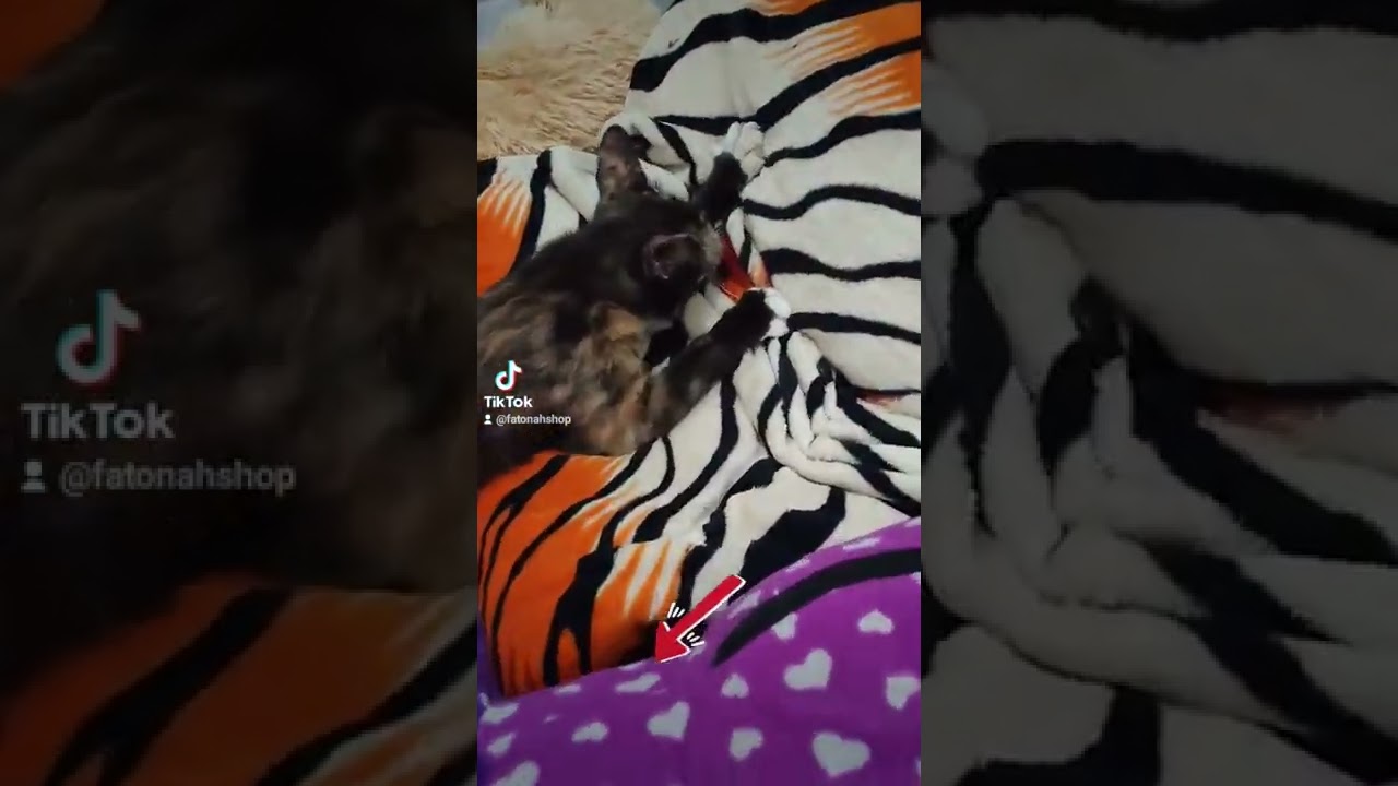 udah gede masih nenen pussss