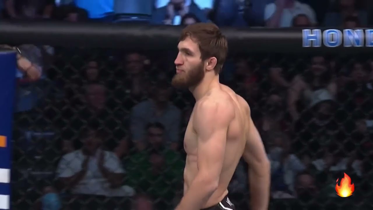 UFC Bantamweight's Said Nurmagomedov Highlights, Knockouts and submissions