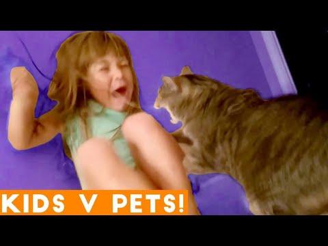 Ultimate Cute Pets vs  Epic Kids Fails Compilation   Funny Pet Videos November 2020