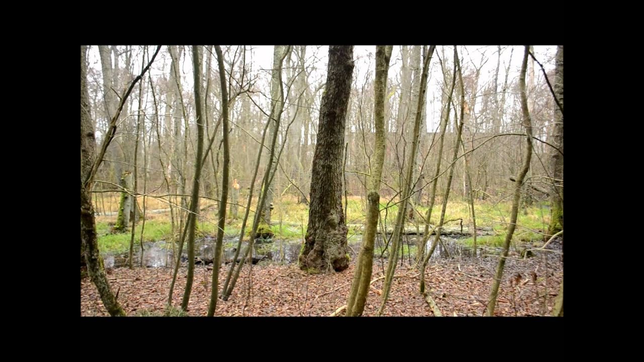 Ultimate Survival (PARODY)