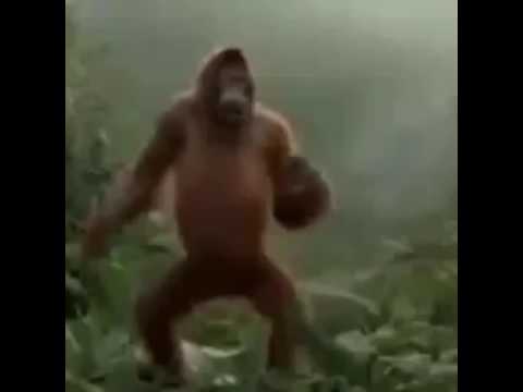 Um vídeo mega encrasado