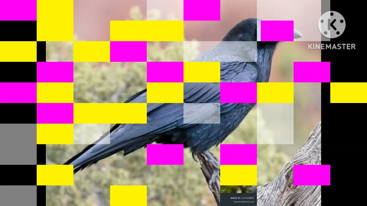 umachka birds part 1 and Discovery kids