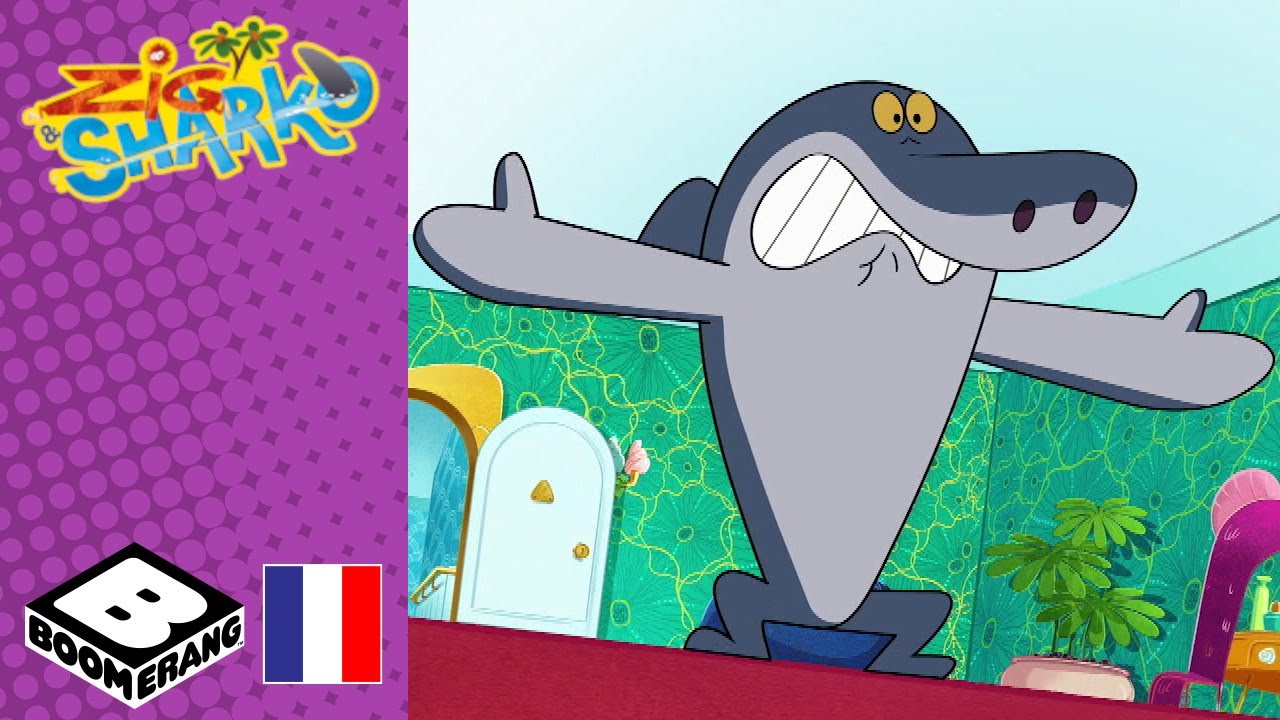 Un grand pas pour Marina, Volet 1 | Zig et Sharko | @boomerangFR