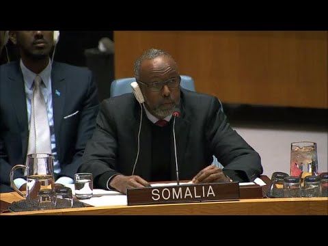 UN Security Council lifts sanctions against Eritrea (14 November 2018)