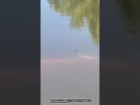 UN SUBMARINO en el RÍO???😨😨😨 (Dubbing)