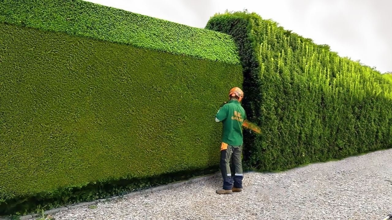 Unbelievably Satisfying Gardening Moments You Need to See! – Relax & Enjoy! 🌳