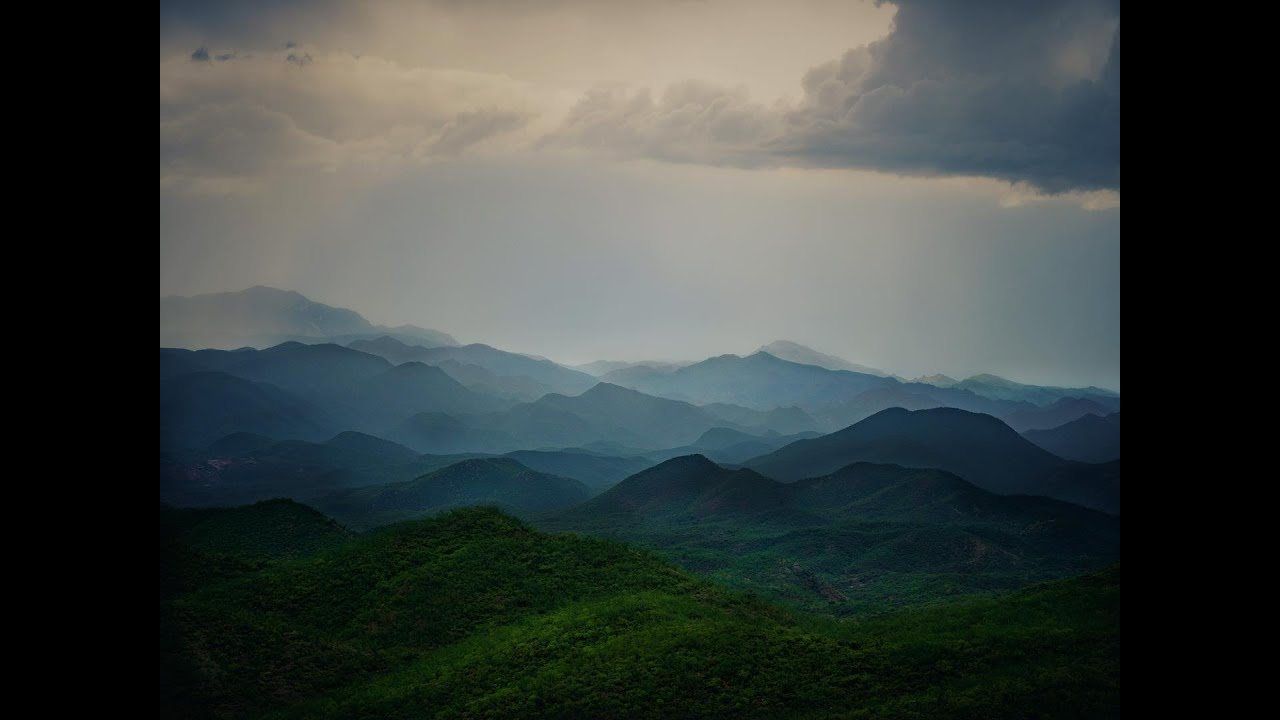 Understanding the Sense of Loss - Excerpt from 