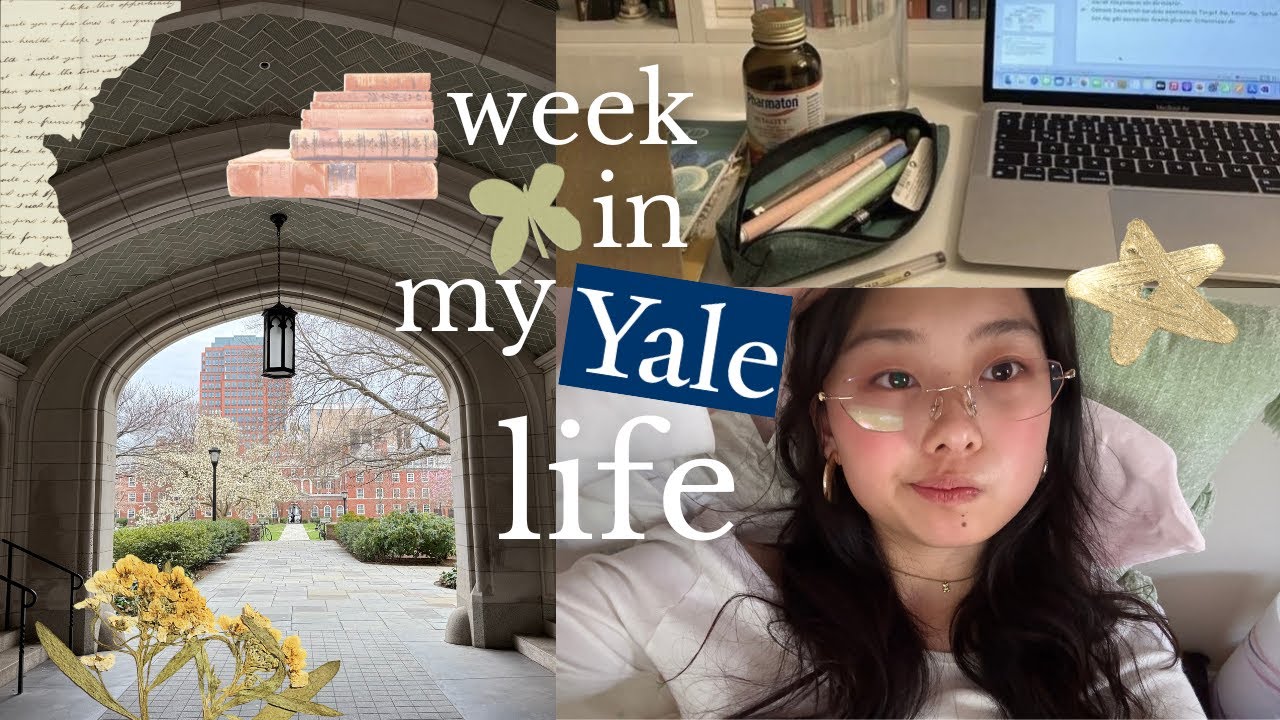 uni vlog @ yale 📔⭐️: finals week prep, late night studying, bulldog days shows