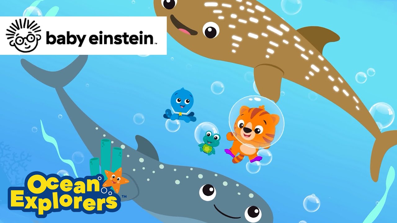Unique Patterns with Whales Sharks | Ocean Explorers Song Compilation | Baby Einstein | Kids Cartoon