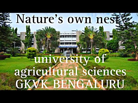 university of agricultural sciences GKVK Bengaluru | sachin kannada talks |