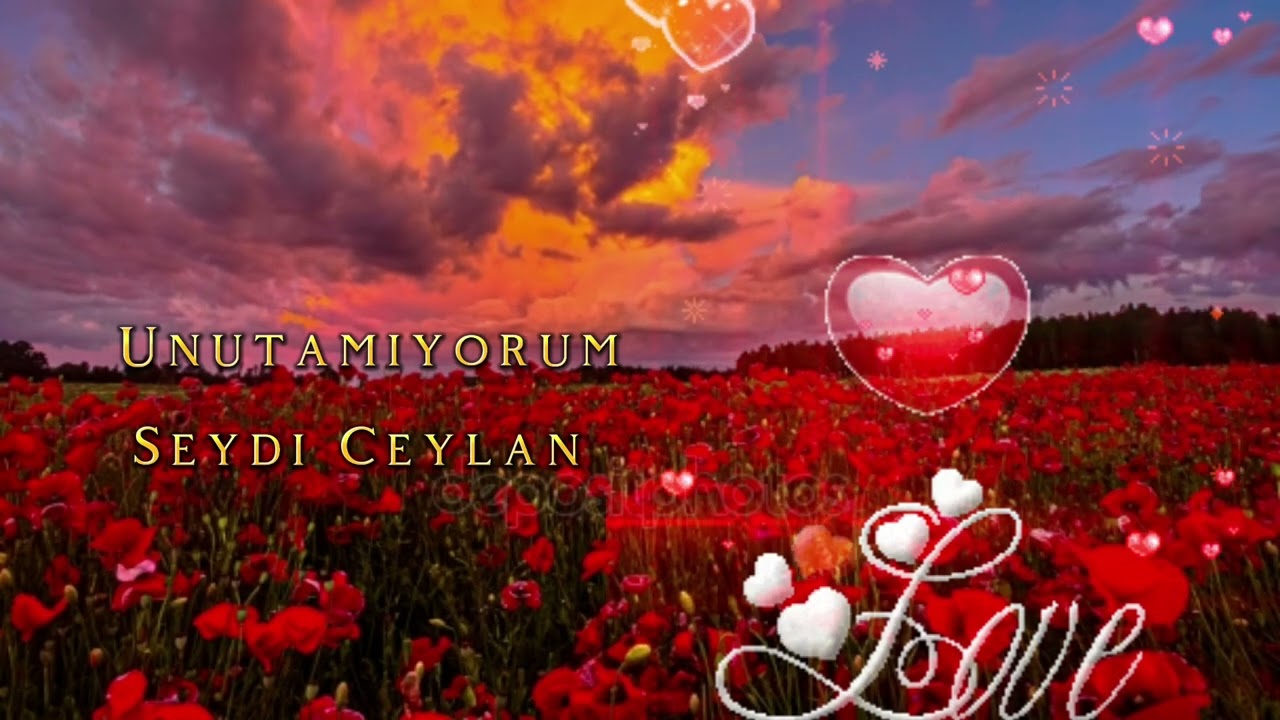 Unutamıyorum (Her Akşam Gün Batımı) - Seydi Ceylan (Elektro Bağlama Arabesk)