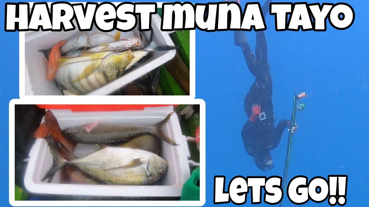 URAGON SPEARFISHING ADVENTURE: HARVEST MUNA TAYO LETS GO!!!