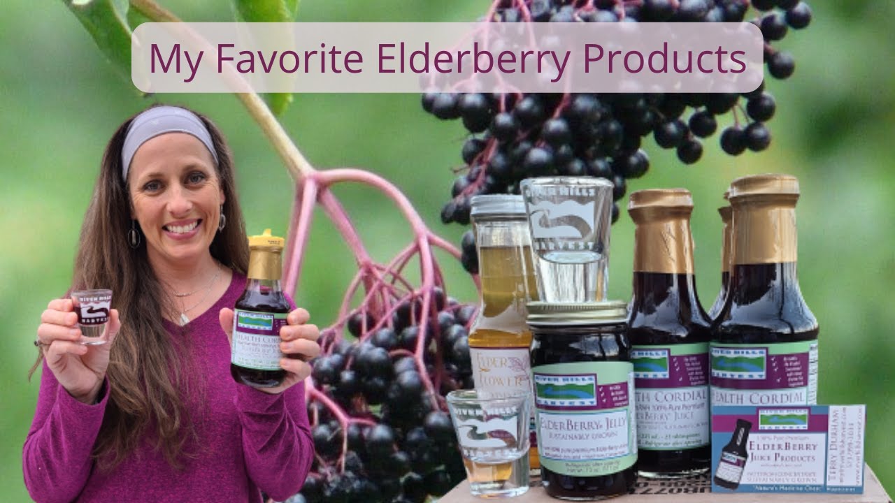 Use THIS Prevent SICKNESS without BIG PHARMA | Sambucus canadensis