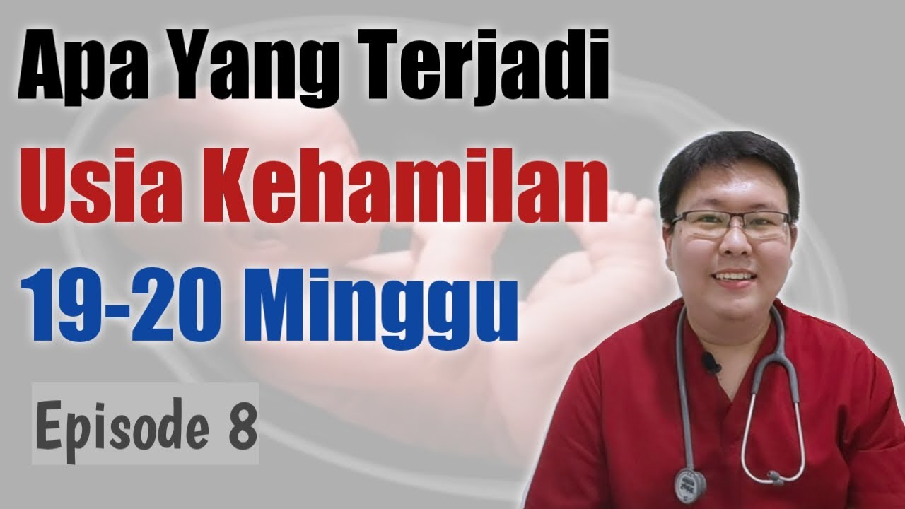 USIA KEHAMILAN 19-20 MINGGU (eps 8) - TANYAKAN DOKTER