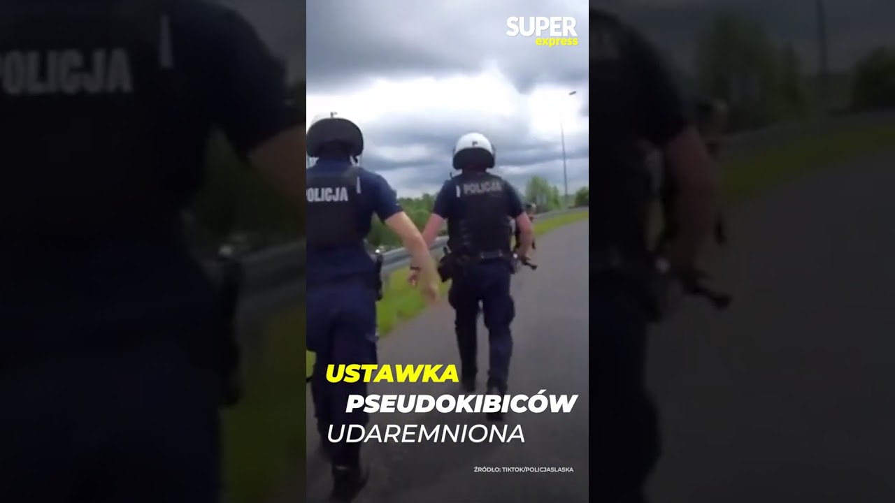 USTAWKA PSEUDOKIBICÓW UDAREMNIONA!