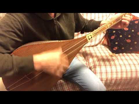 Uyghur Dotar / Dutar