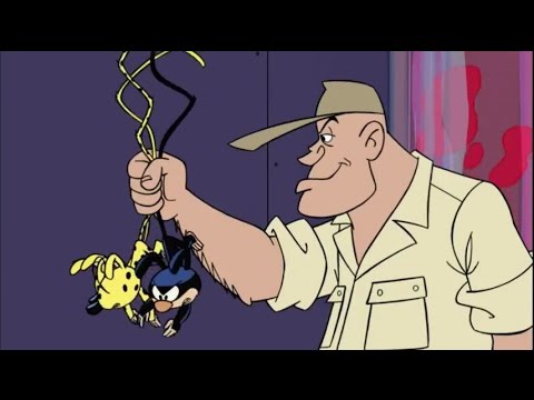 Uzun Kuyruk   Marsupilami   Grotoxs