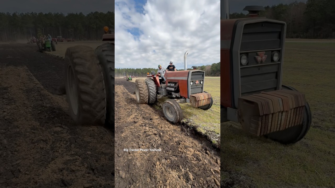 V8 MASSEY FERGUSON 1155 Tractor Plowing #bigtractorpower