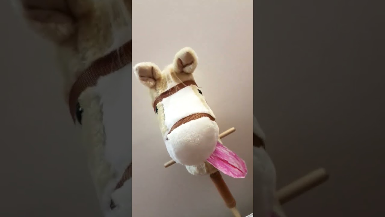 vanilia z językiem XD  #hobbyhorse #horse