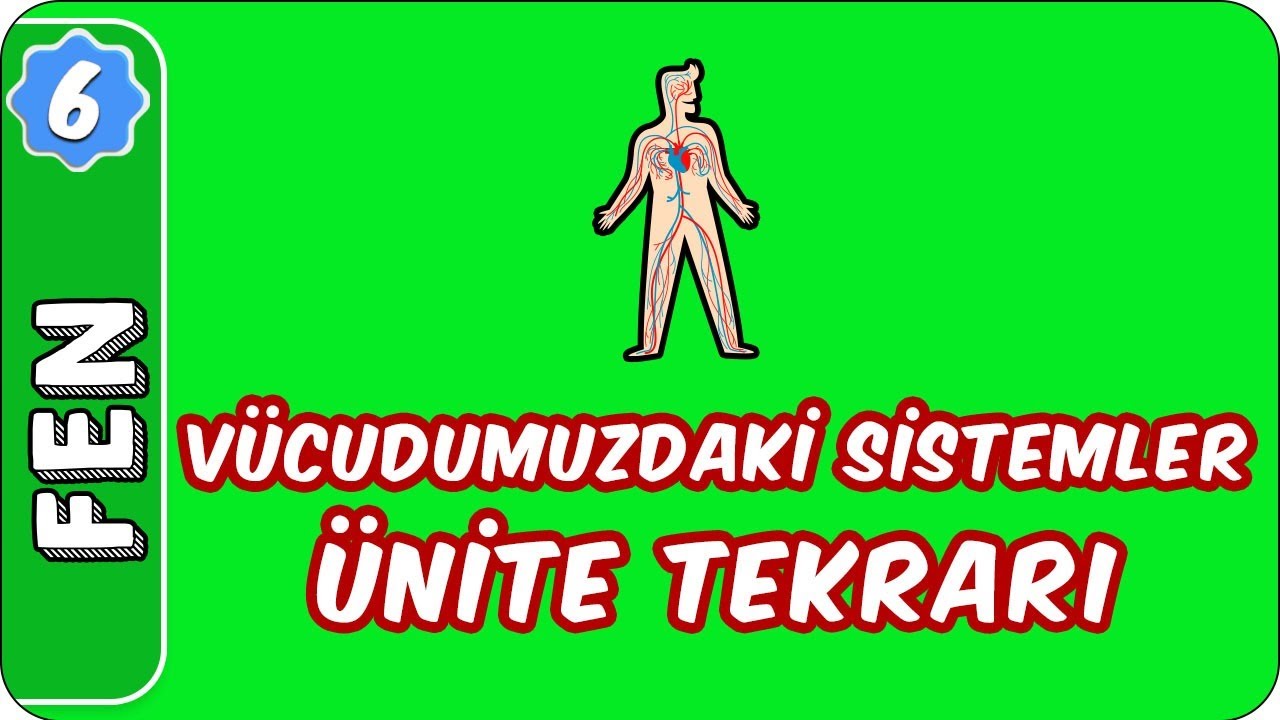 Vücudumuzdaki Sistemler  Ünite Tekrarı |  6. Sınıf Fen evokul Kampı